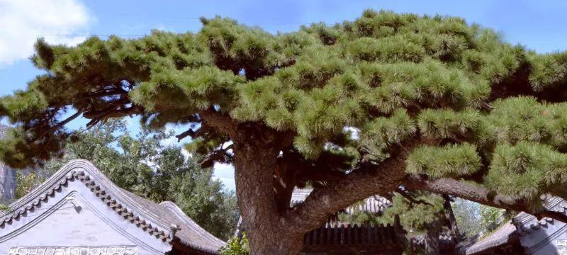 Carousel Bootstrap Third