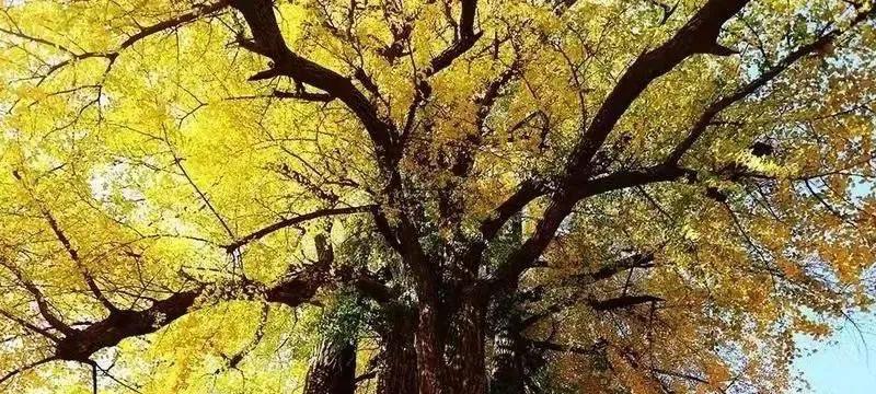 Carousel Bootstrap Second